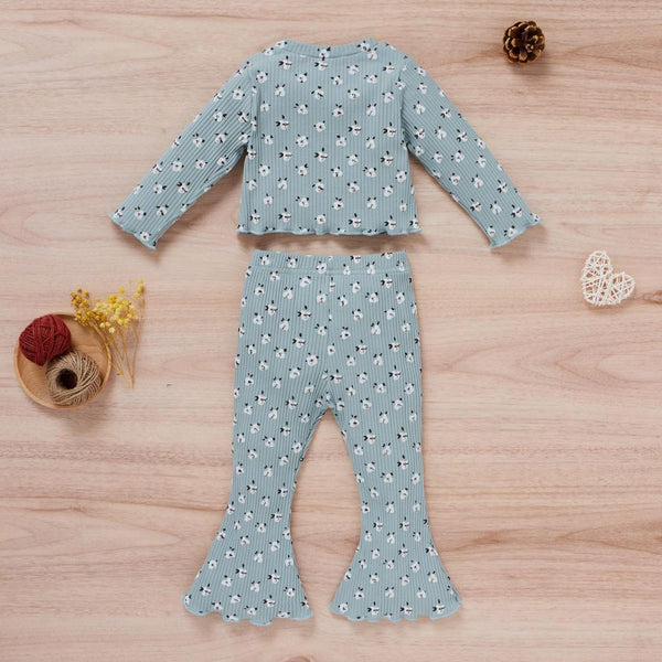 Toddler Girls Spring Autumn Floral Top and Pants Set Wholesale Girl Clothing