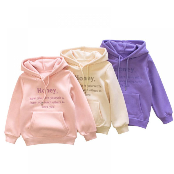 Autumn and Winter Girls Hooded Embroidered Sweater Baby Alphabet Fleece Hoodie Wholesale