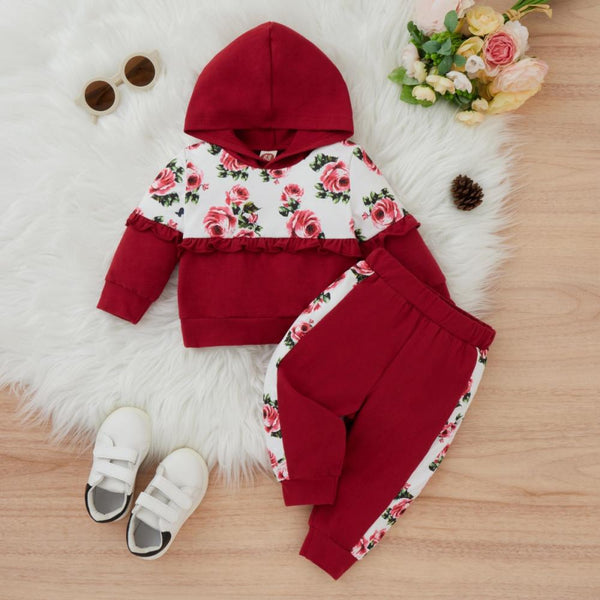 Autumn Baby Girl Print Hooded Top + Pants Set Wholesale Girls Clothes
